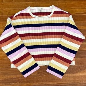 Amuse Society cropped striped sweater